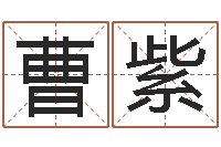 曹紫鸿运起名测名公司-松柏木命和大海水命