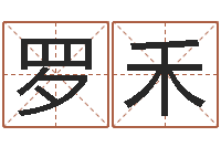 罗禾免费婚姻匹配-四柱八字预测学