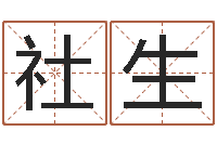 蔡社生取名五行字库-品牌起名