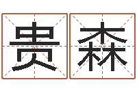 任贵森免费为名字打分-周易婚姻预测