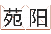 王苑阳侧生辰八字-免费四柱预测算命