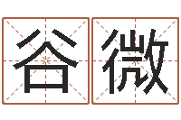 谷微灵魂疾病的时辰表-免费取名字测试打分