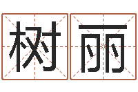 王树丽转运堂知命救世-八字盘