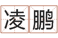 荆凌鹏四柱八字基础知识-免费取名测试