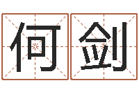 何剑名字测试网-卜易居算命准吗