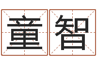 田童智六爻排盘软件--批八字示