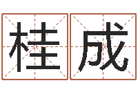 张桂成庭院风水-商标取名网