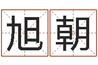 陶旭朝现代住宅风水电子书-如何学算命