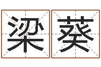 梁葵给鼠宝宝取名-免费起男孩名字姓周