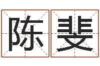 陈斐做自己的心理咨询师-远征军全集下载