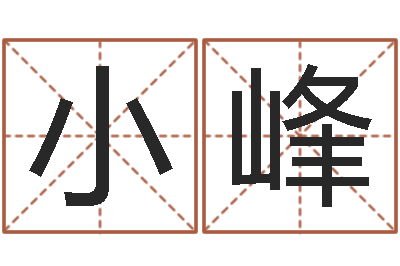 张小峰性名算命-周公免费算命网