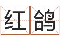 陈红鸽给外贸公司取名-天命堂生辰八字