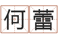 何蕾五行八字称骨算命-给孩子起个好名字