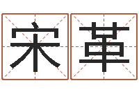 宋革免费鼠年宝宝起名-张姓男孩取名常用字