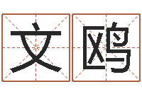 曾文鸥属马人的婚姻与命运-风水学视频