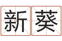 曾新葵婴儿起名示例-放生联盟