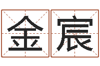 段金宸周易八卦下载-魔师逆天调命全文阅读