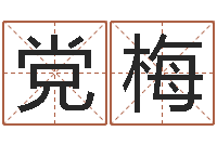 党梅在线周易免费算命-苗姓女孩起名