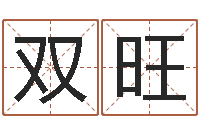 朱双旺给宝宝起什么好名字-劲舞团个性名字