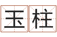 张玉柱易奇八字学习软件-办公室风水化解