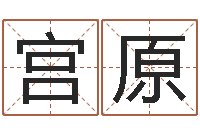 宫原入党积极分子测名数据大全培训班-八字命理博客