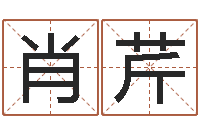 肖芹四字起名-给宝宝姓名打分