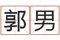 郭男电脑取名打分网-公司起名算命