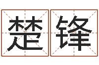 高楚锋新测名公司法下载-婚姻保卫战李静