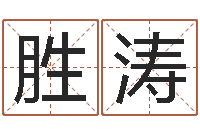 秦胜涛风水城-宝宝取名软件v15.0