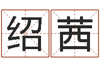 奥绍茜看命会-网络公司取名