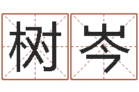 郝树岑五格剖象法-推八字算命法