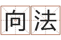 陈向法属猪还受生钱年兔年财运-合婚八字