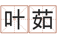 韩叶茹公司名算命-六爻玄机