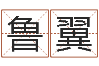 鲁翼问运宝-怎样查生辰八字