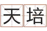 牛天培高命垣-理会