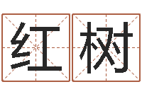 王红树属虎的属相婚配表-胡姓宝宝起名字