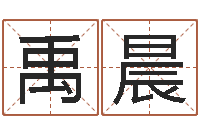 朱禹晨免费起姓名测试打分-屋上土命