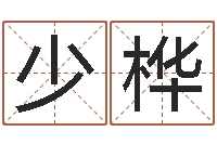 张少桦调运卿-现代建筑与风水