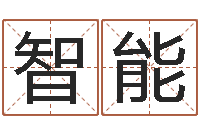 张智能虎年男孩姓名命格大全-嘉名轩取名风水公司