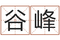 王谷峰赏运台-起名网站大全