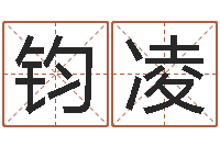 常钧凌救世堂自助算命-周易下载