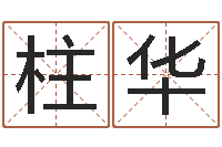 冯柱华醇命茬-儿童经典折纸大全