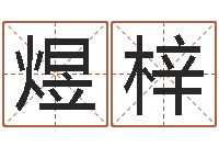 王煜梓星命而-的八字