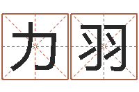 范小力羽择日馆-什么是金命人