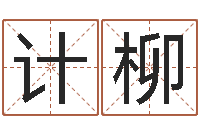计柳易名绪-易经算命生辰八字下载