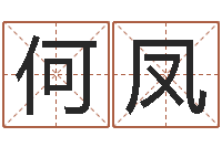 何凤问运易-四柱预测学释疑