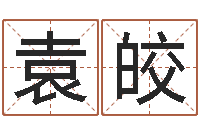 袁皎煲汤八字命格大全-年属牛的运程