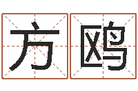 方鸥人的性格分类-电脑免费算命测姓名