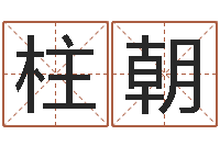 薄柱朝解释词语命格大全-周易三命汇通测生子