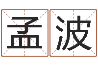 李孟波问命易-免费姓名分析